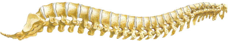 Grafische weergave van de top 3 meestvoorkomende klachten bij chiropractische behandeling